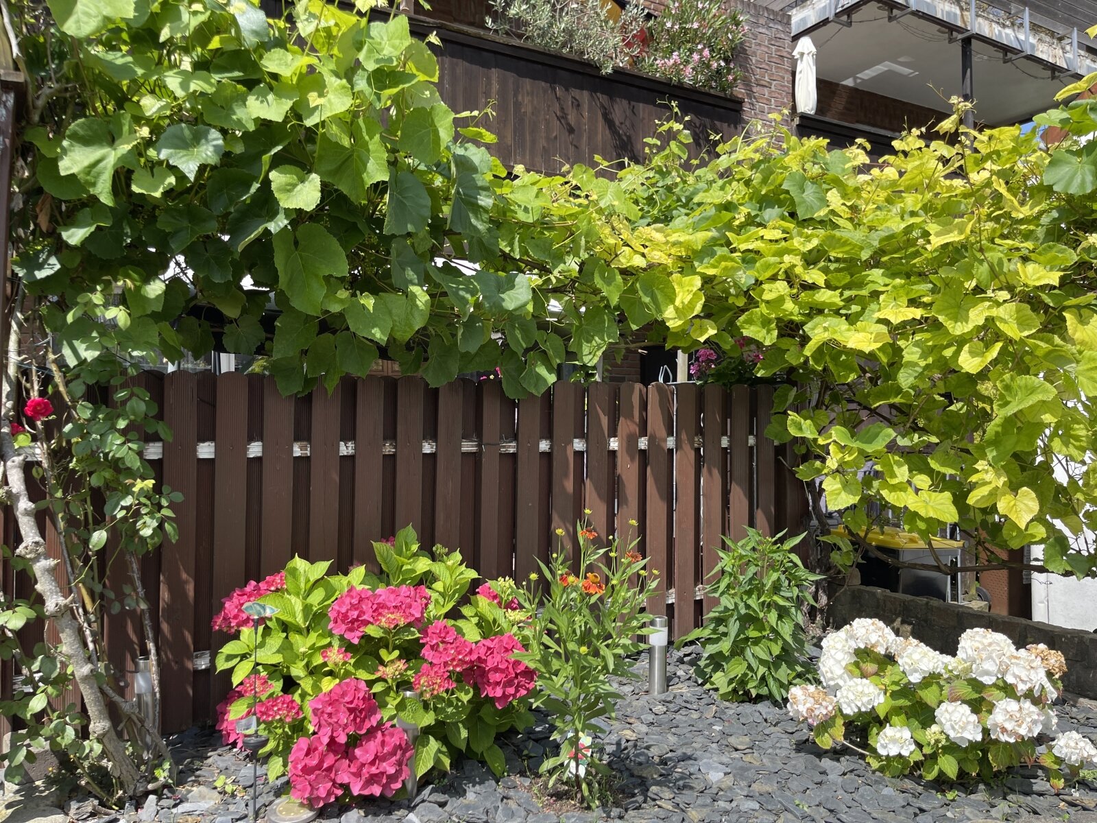 Blumenbeet grenzt Terrasse vom Garten ab