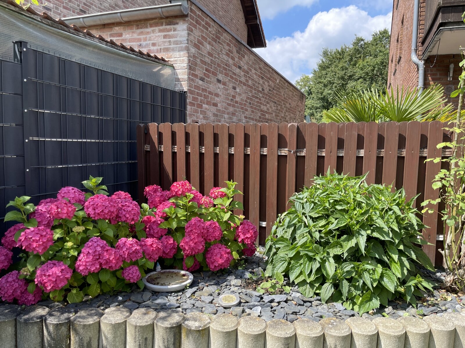 Blumenbeet grenzt Terrasse vom Garten ab